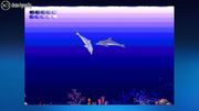 Xbox 360 - Ecco the Dolphin - 1 Hits