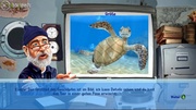 Xbox 360 - Sea Life Safari - 2 Hits