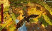 Xbox 360 - Wildlife: Forest Survival - 68 Hits