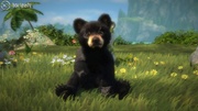 Xbox 360 - Kinectimals Now with Bears - 0 Hits
